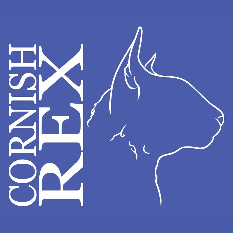 Cornish Rex Profil Katzen Katze Wilsigns