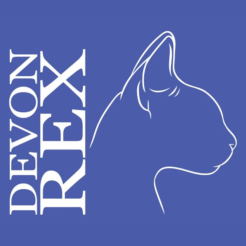 Devon Rex Profil Chat Chat Wilsigns