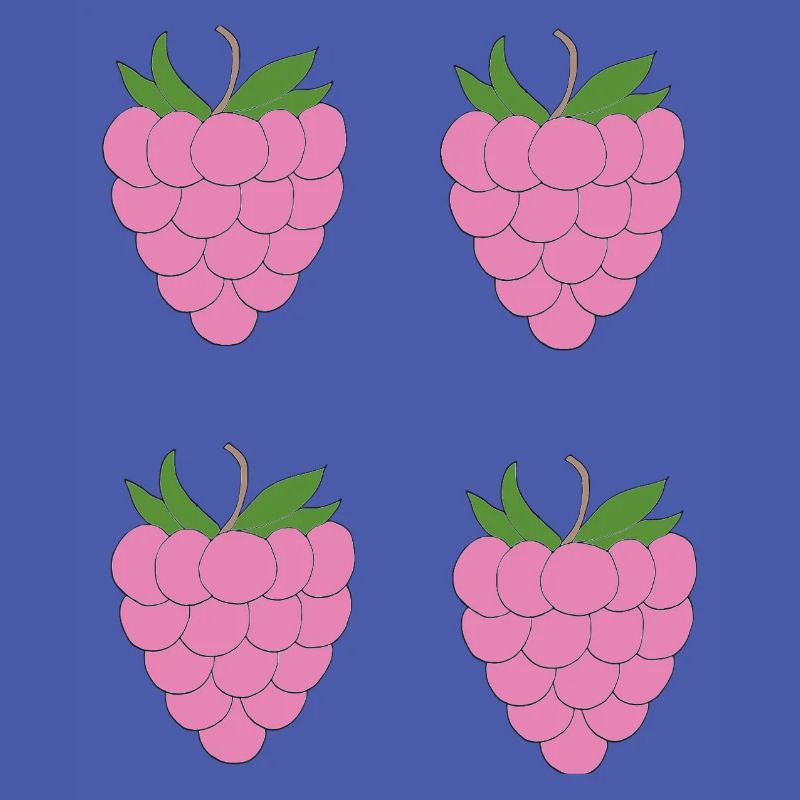 Raspberry Double Cluster Pattern