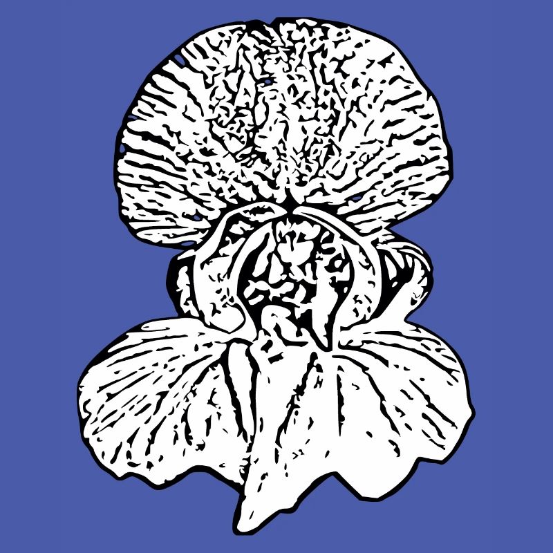 Muttertags Geschenk Mutter Muttertag Geschenkidee 