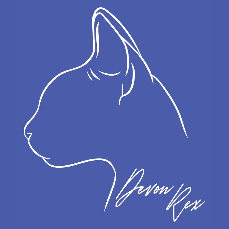 Devon Rex Profil Chat Chat Wilsigns