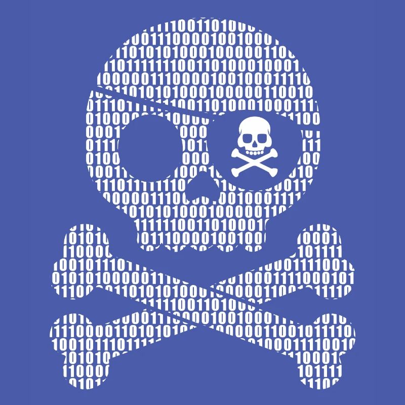 Digital Pirate Binary Code | Digital skull