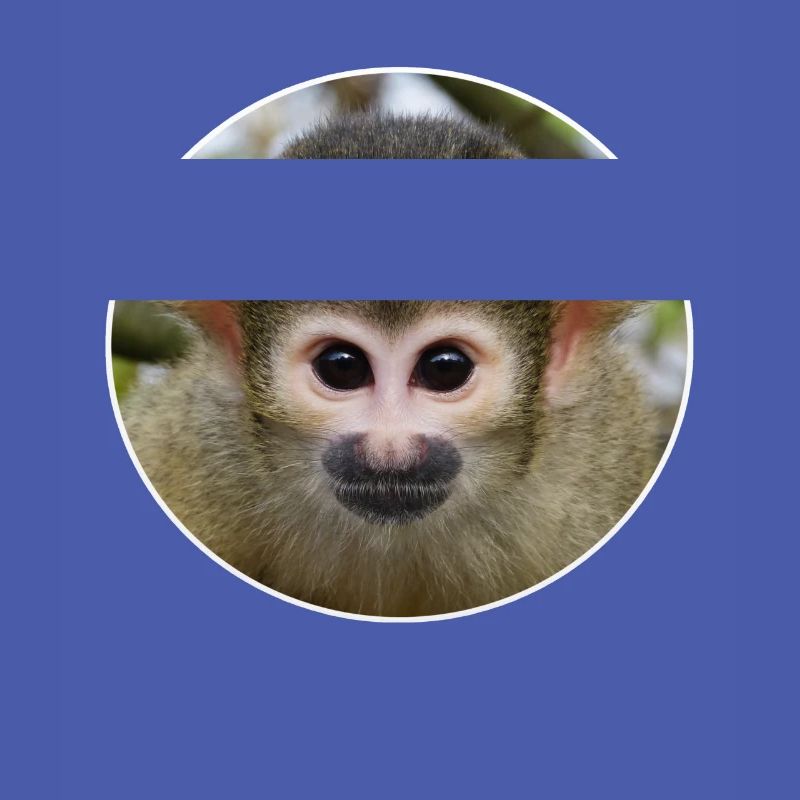 Affe