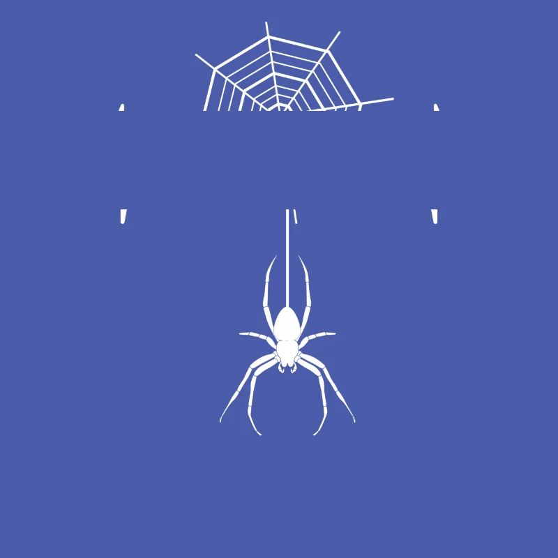 Spider - spiders - spider owner - spider web