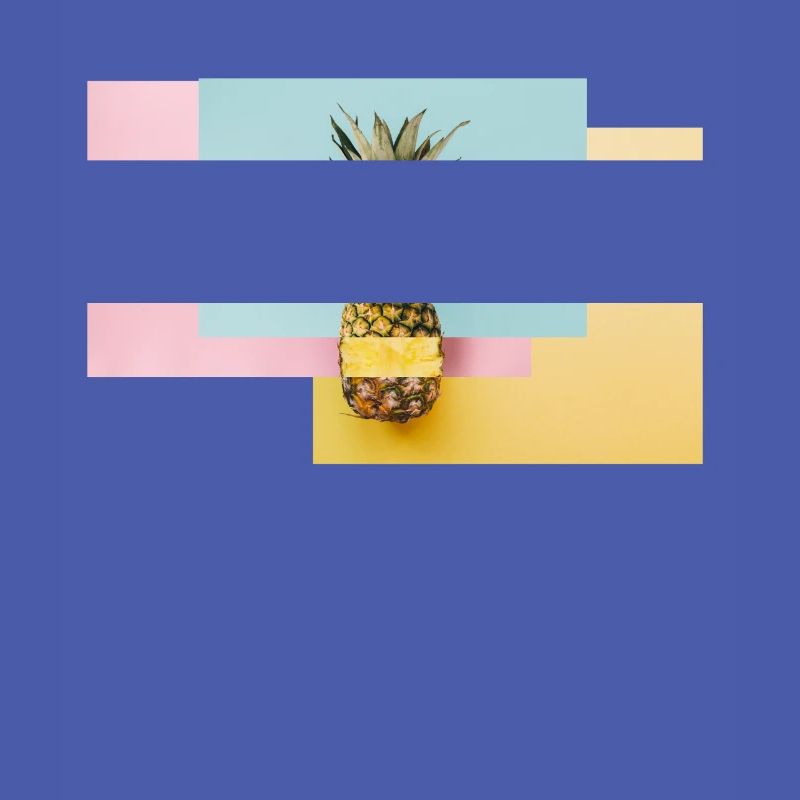 Bunte Ananas / Geschenk Idee