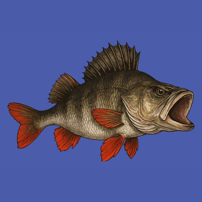 Perche Perche Perche Perche Perche Pêche Perche Perche
