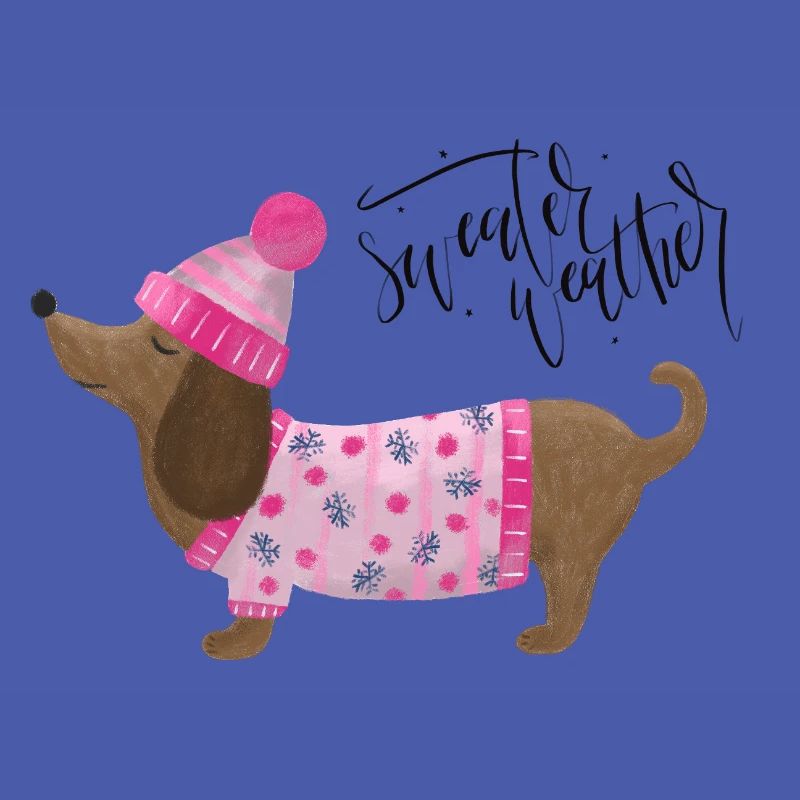 Teckel avec pull et chapeau Pull Météo rose