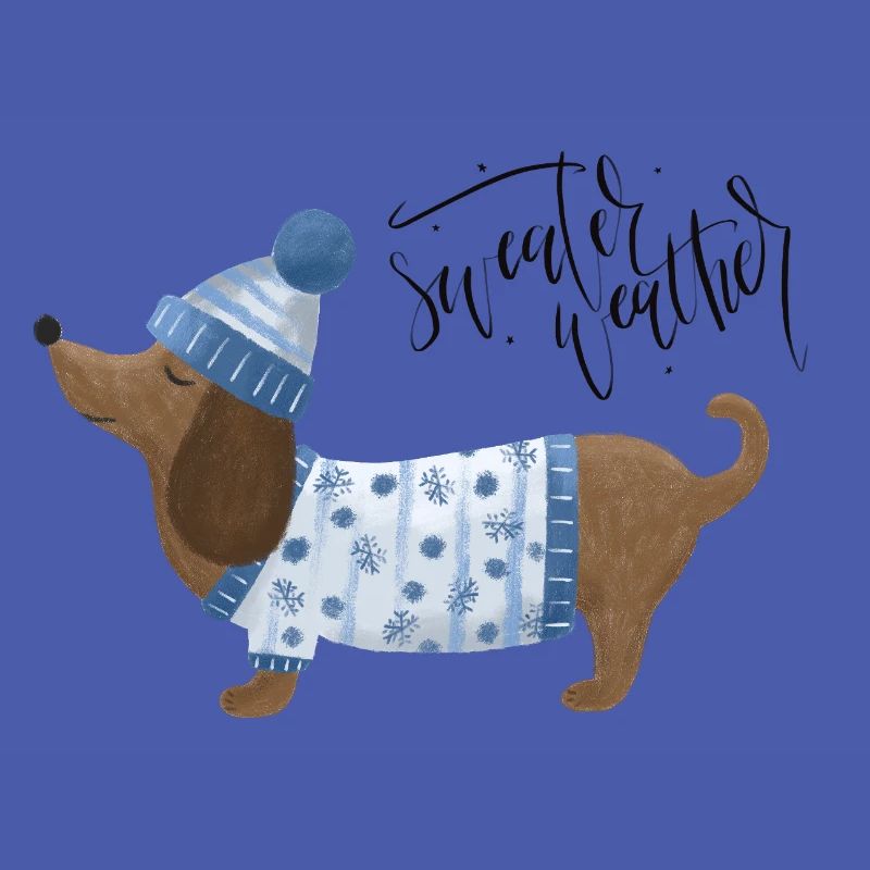 Teckel avec pull et chapeau Pull Météo bleu