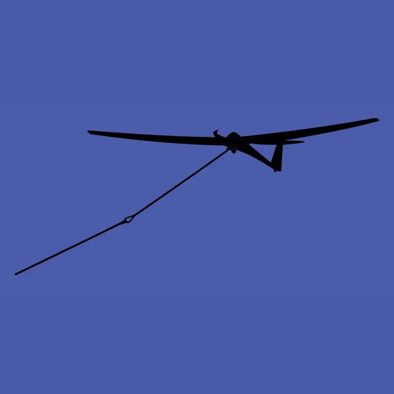 Glider Glider Glider Pilot Pilot