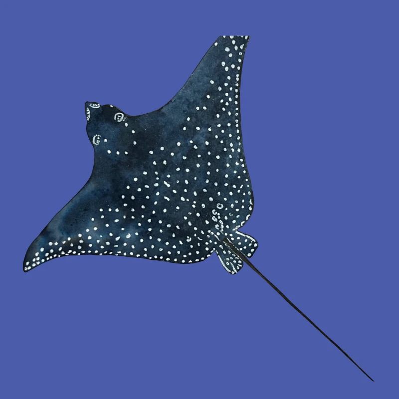 Rays Eagle Rays Stingrays Reef Diving