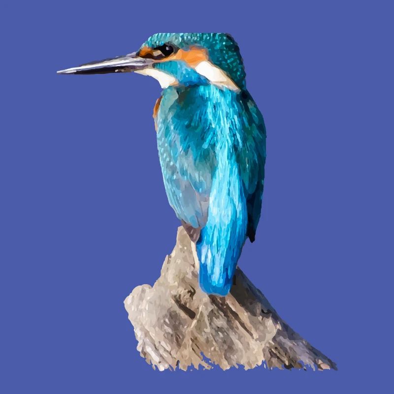 eisvogel 01