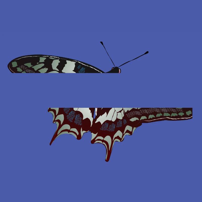 Papillon papillon papillons