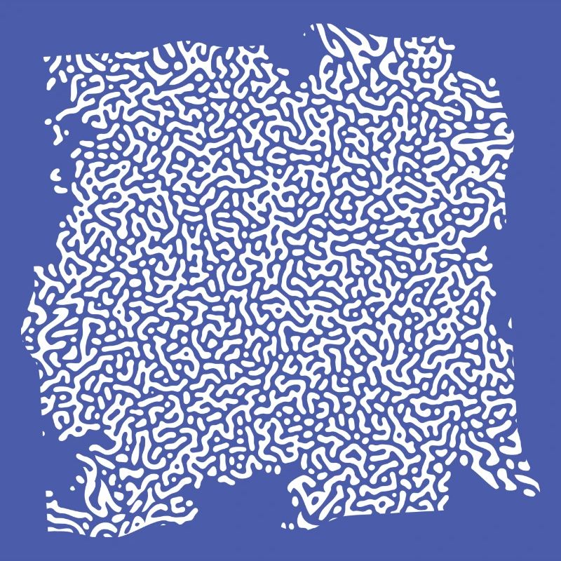 Turing Pattern Blanc - Ver