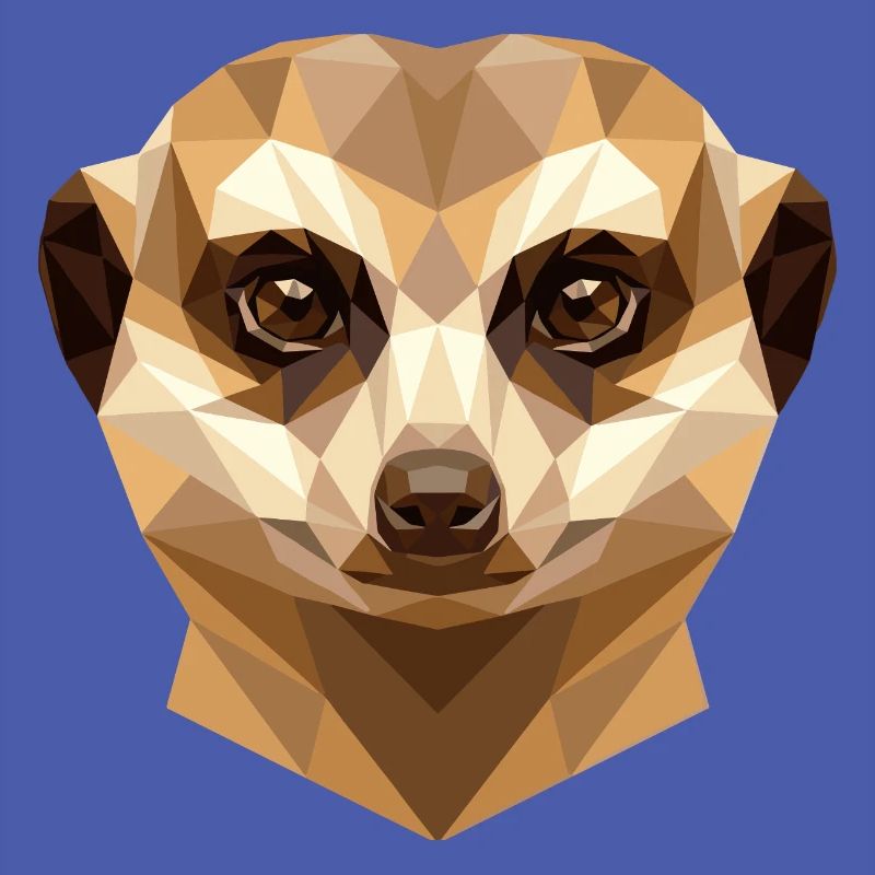 Suricate Suricate Douce Mangouste Suricate