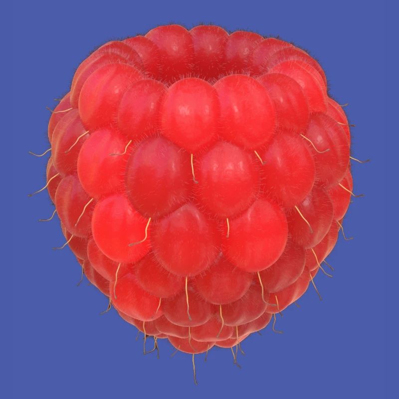 Raspberry Cluster Pattern
