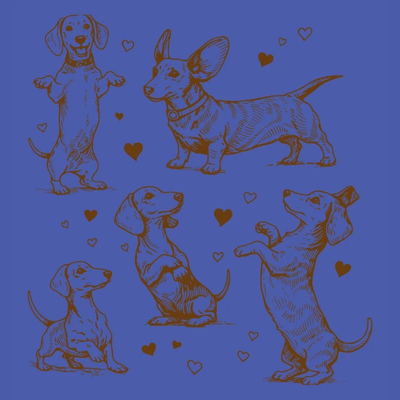 Teckel Teckel Chiens Teckels Teckel Chien teckel Teckel