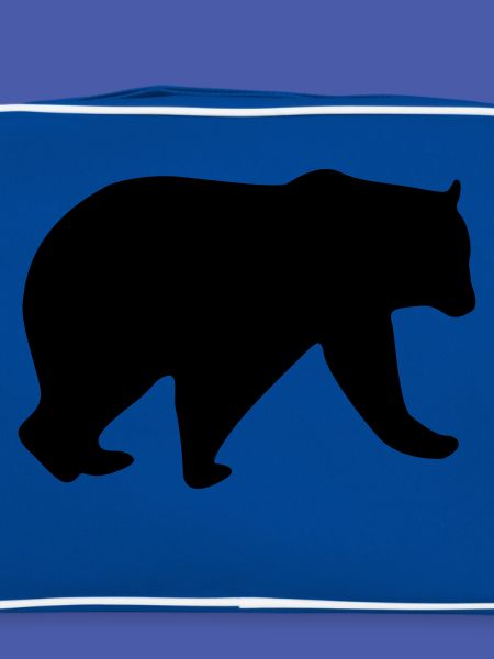 bear design