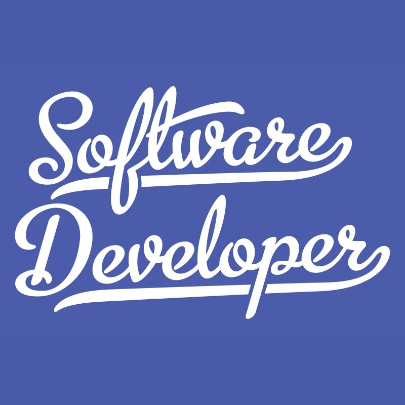 Software Developer