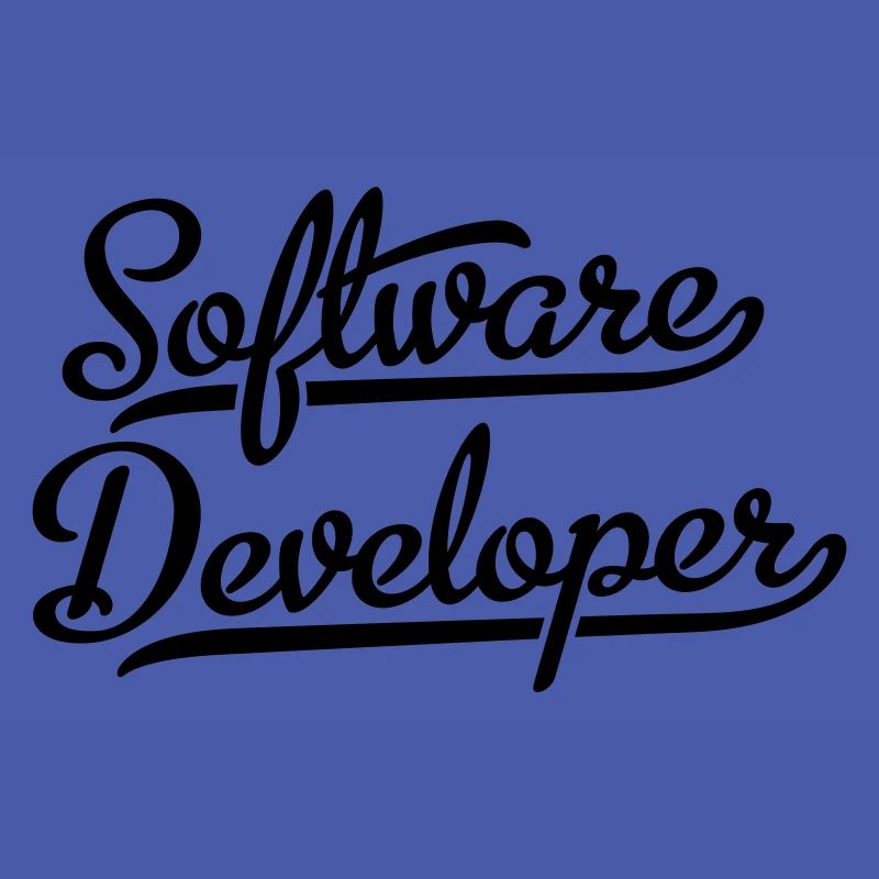 Software Developer