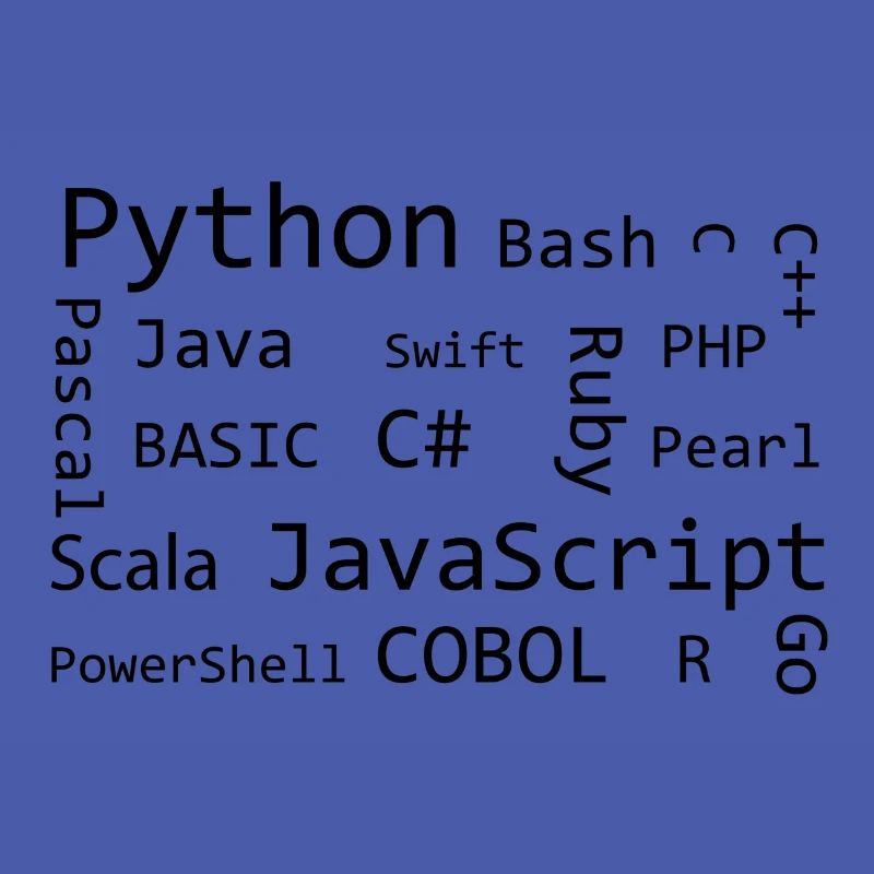 Programmer