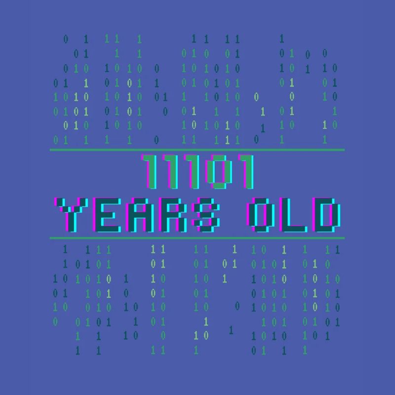 29th Birthday 29 years old Binary Code Coder
