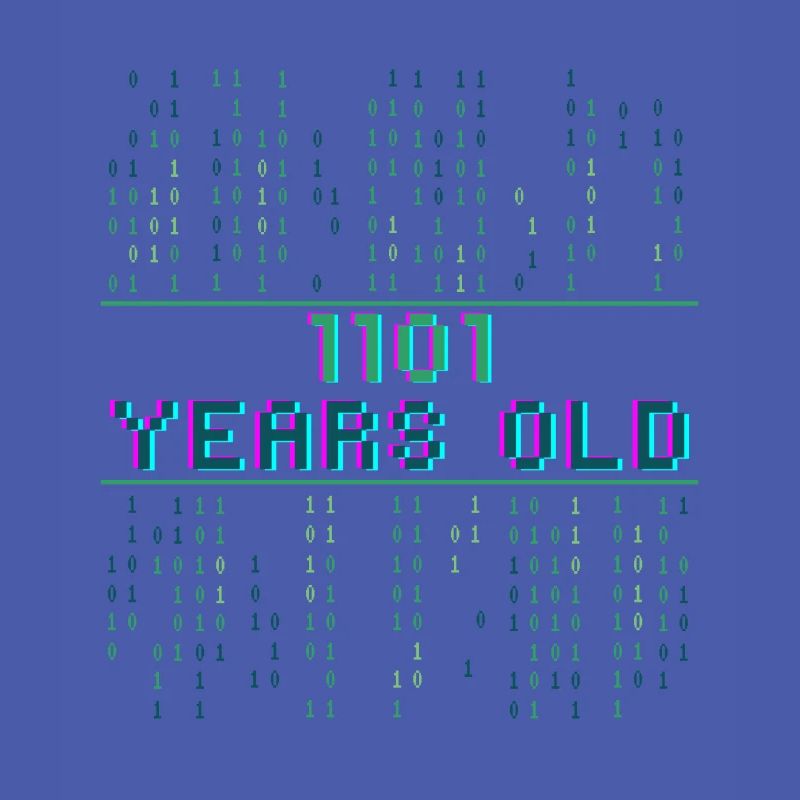 13. Geburtstag 13 Jahre alt Binärcode Coder