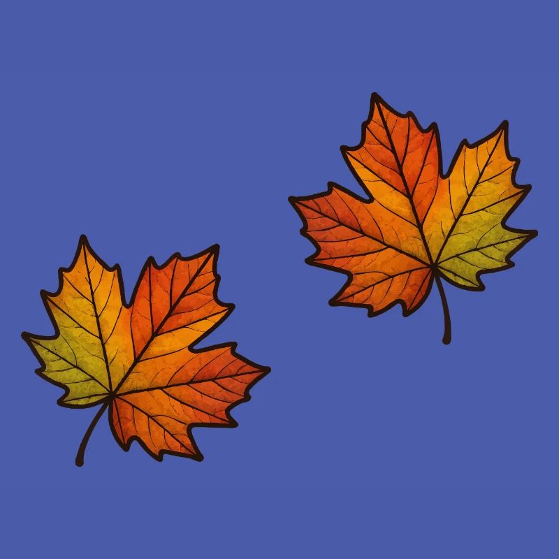 Leaf Autumn Maple Leaf 2