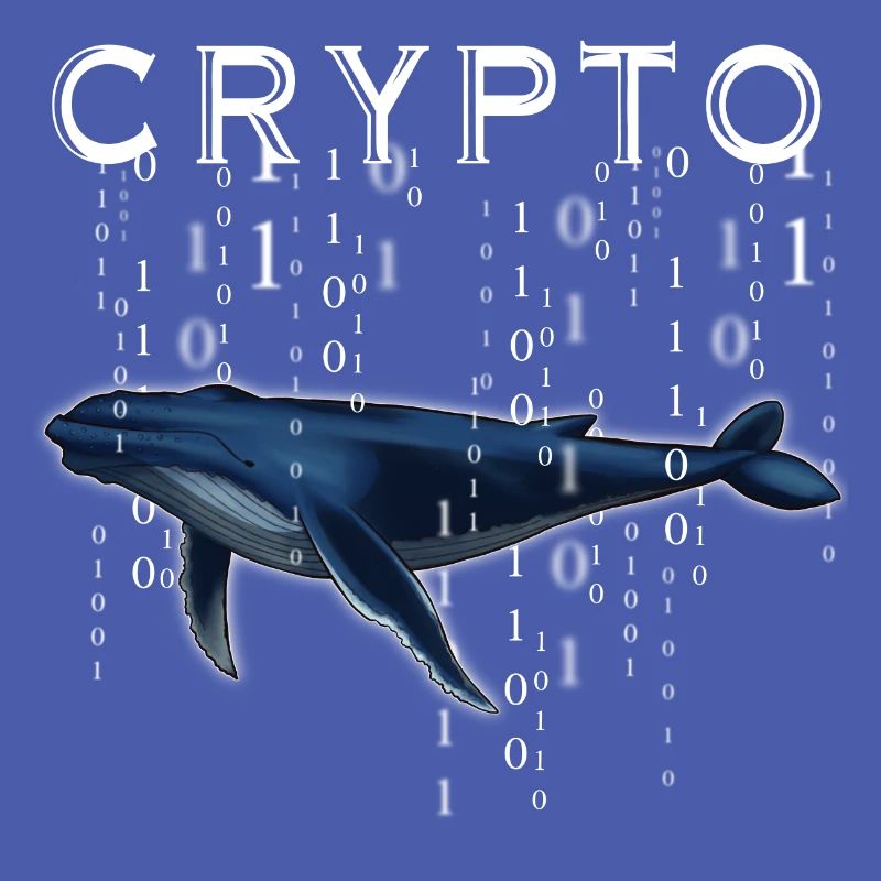 Crypto Wal Krypto Geschenk Idee