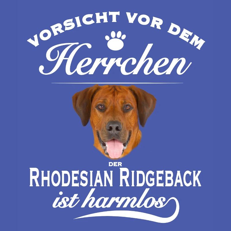 Vorsicht vor Herrchen, harmlos Rhodesian Ridgeback