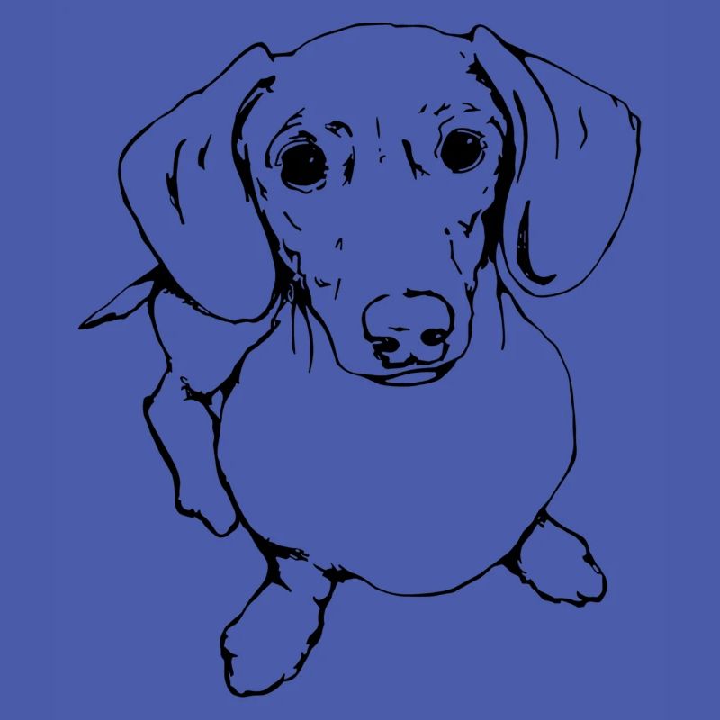 Teckel, Teckel, Teckel, Teckel à poil dur Line Art