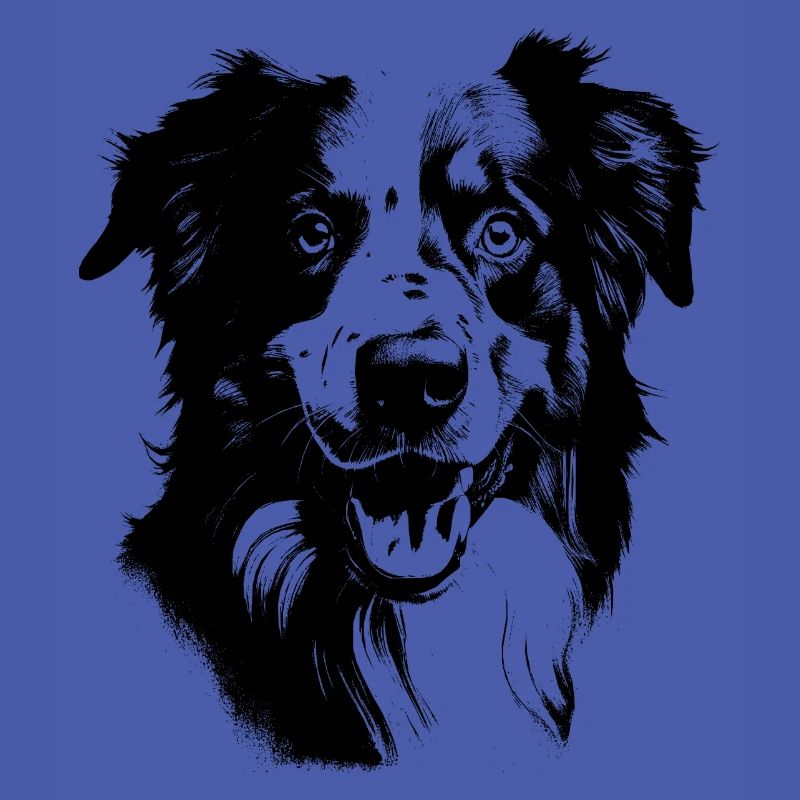 Australian Shepherd
