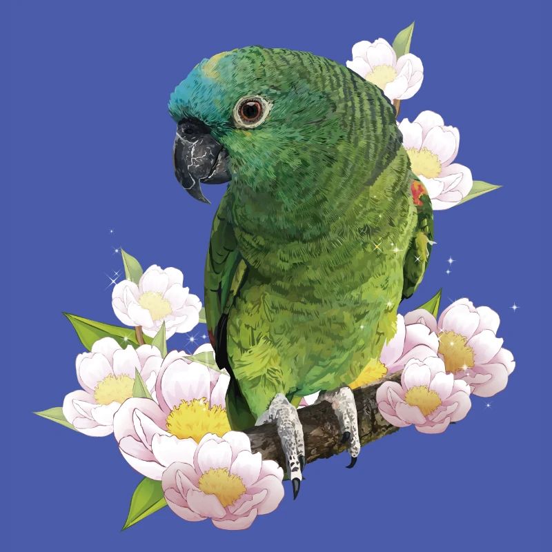 L’amazone à front bleu