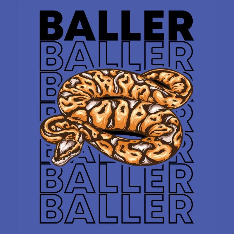 Ball Python 80's Style Baller Royal Python Snake