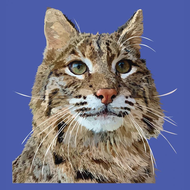 Luchs