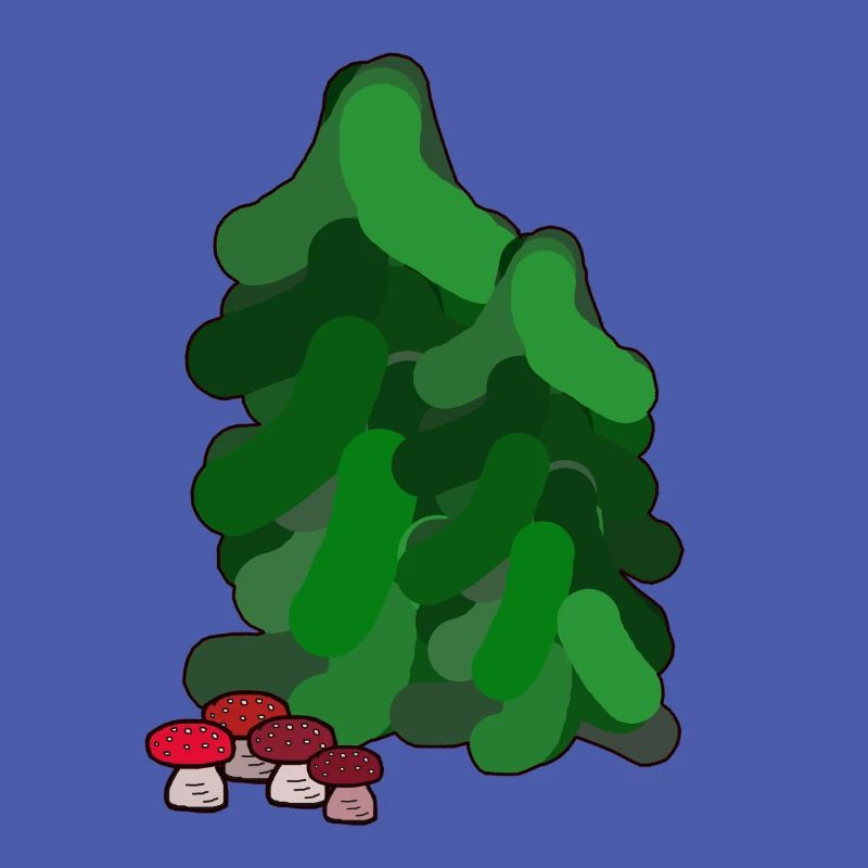 October Autumn Forest Fir Trees Toadstools Mushrooms