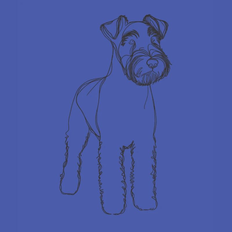Terriers terriers bleus Kerry