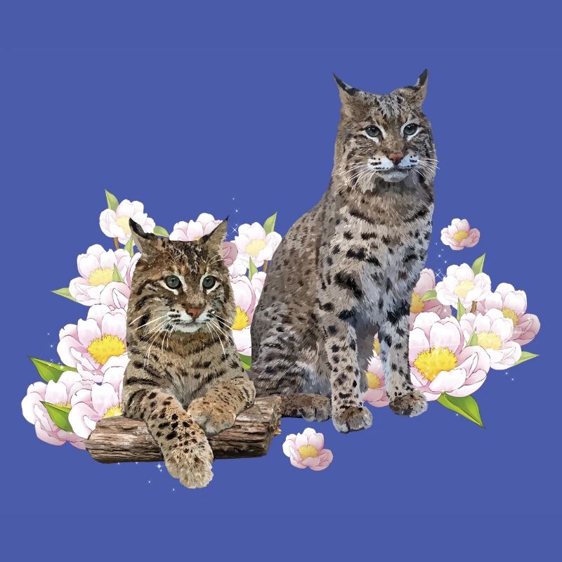Luchs