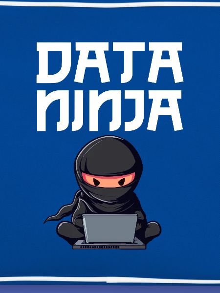 Data ninja data Scientist