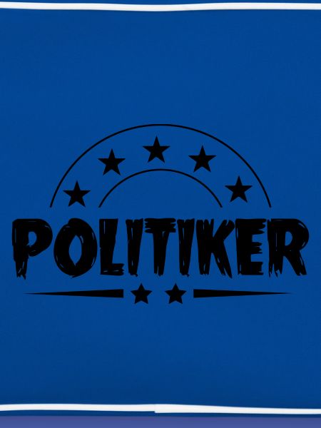 Politiker Beruf