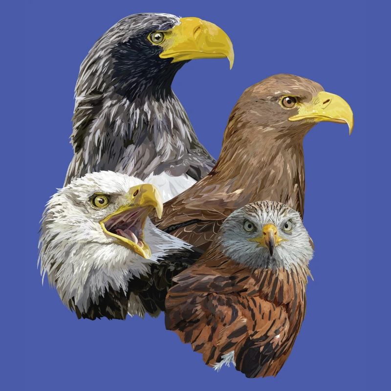 Greifvogel