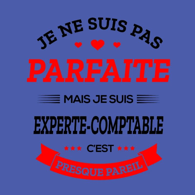 EXPERTE-COMPTABLE PARFAITE