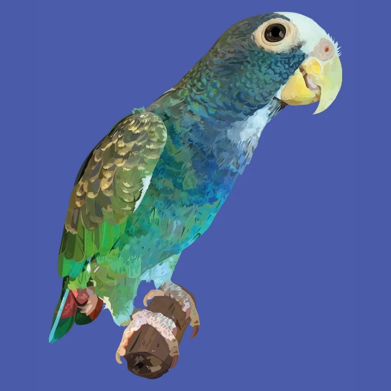 Perroquet Sénile