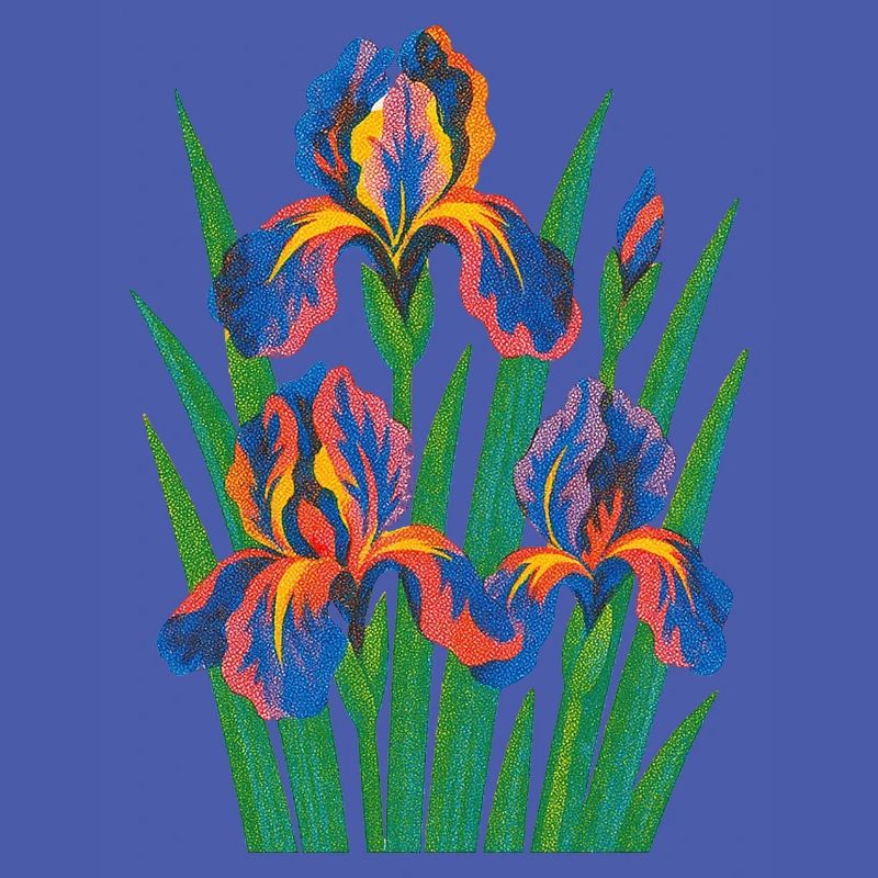 Retro Iris Blumige Blüte