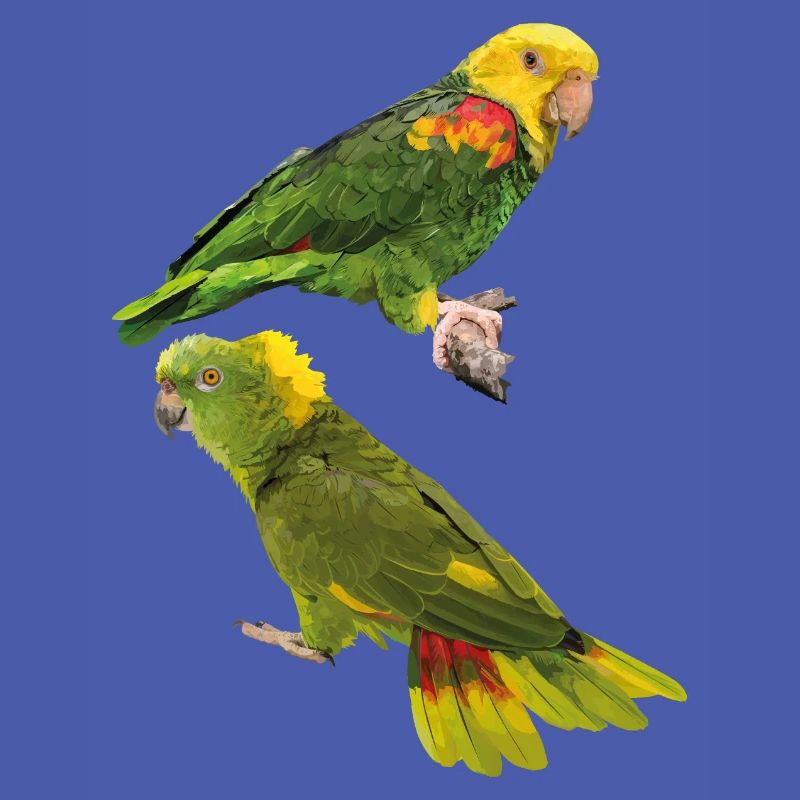 Perroquets