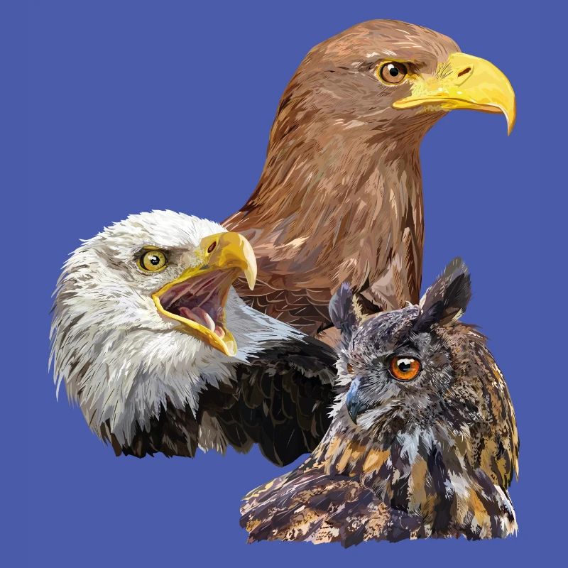 Pigargos et hibou