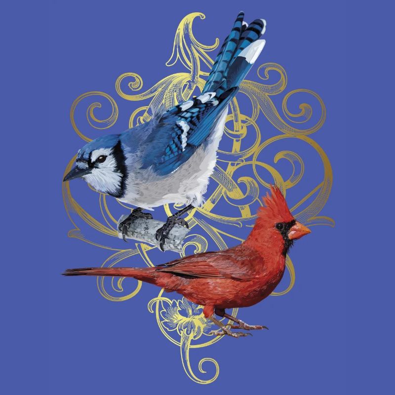 Der nördliche Kardinal und der blaue Eichelhäher