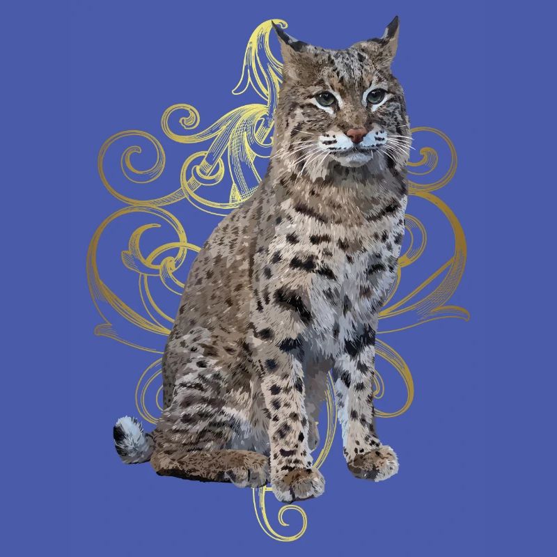 Luchs