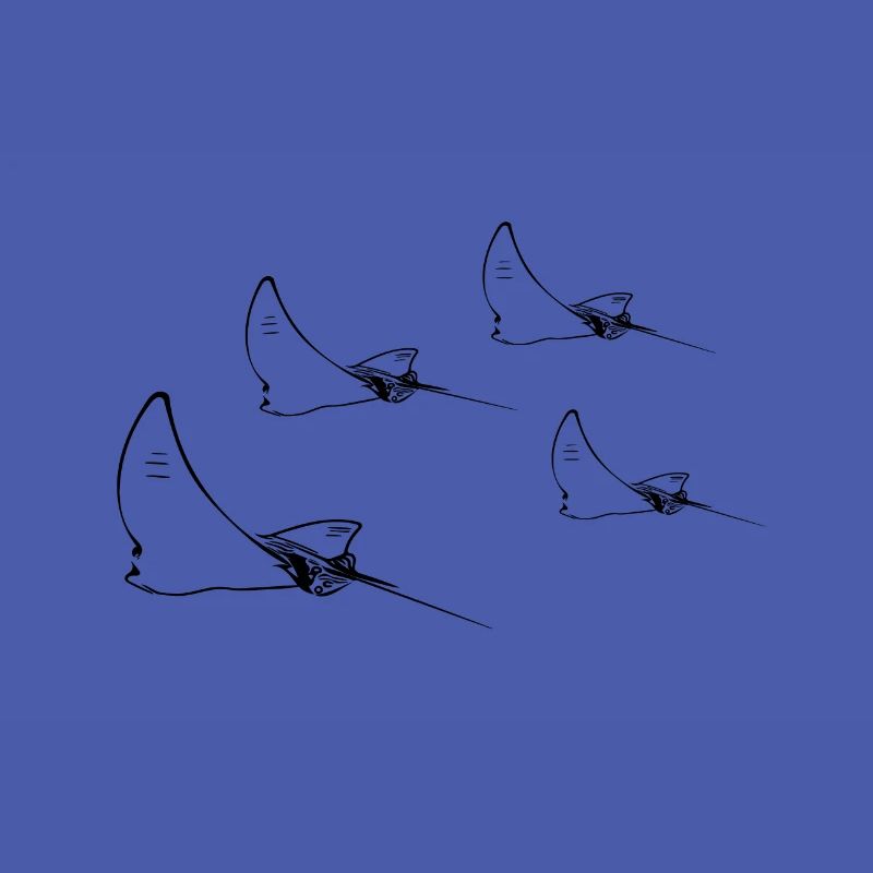 Formation de vol Eagle Ray