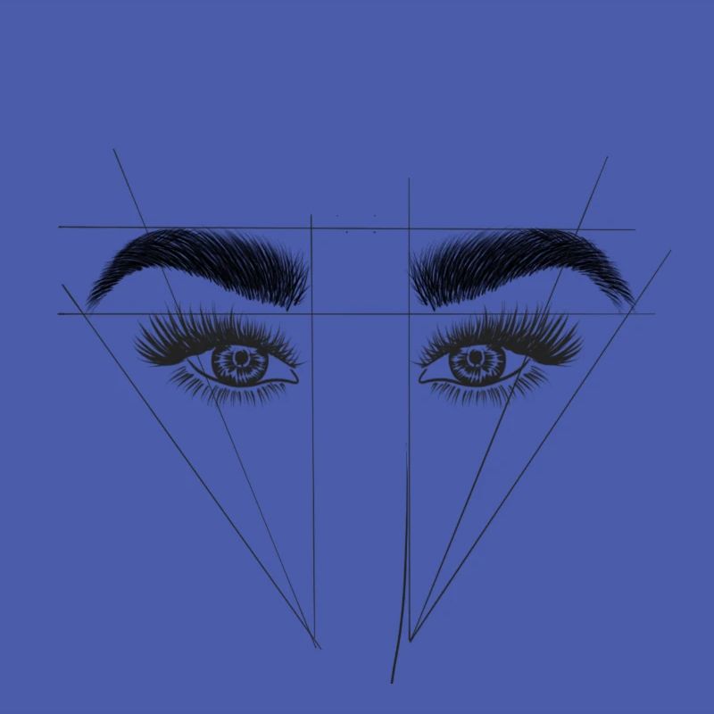 Brows Sourcils eyebrows browlifting microbladin