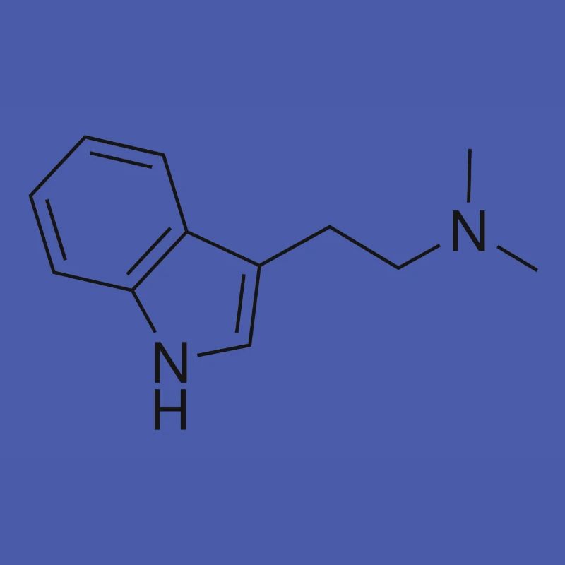 DMT molecule - black